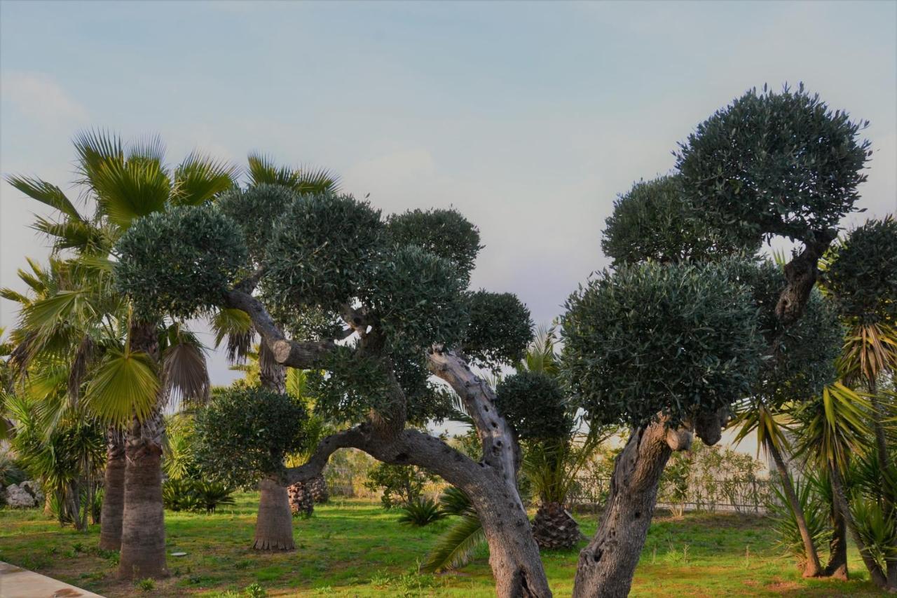 לוקורוטונדו Ulivo Apartment מראה חיצוני תמונה